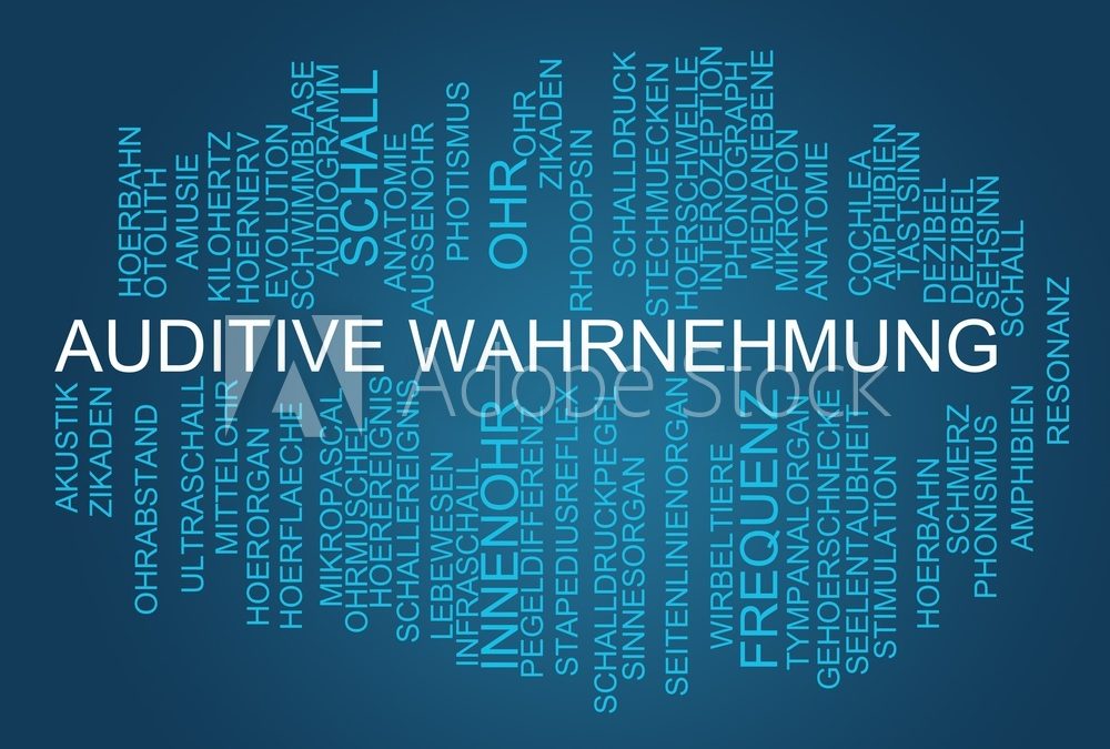 Hören – wie funktioniert das?